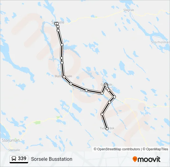 339 Bus Line Map