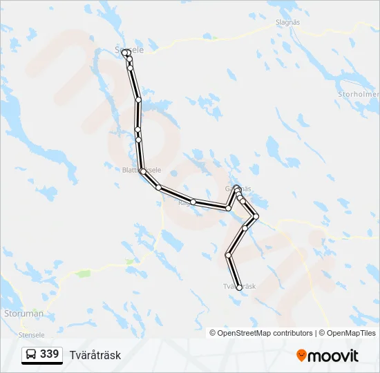 339 Bus Line Map