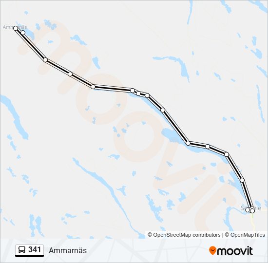 341 bus Line Map