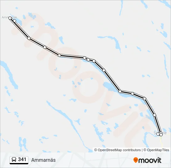 341 Bus Line Map