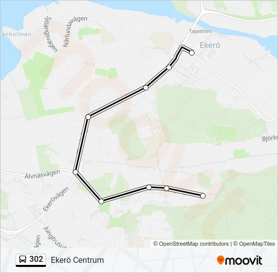 302 Bus Line Map