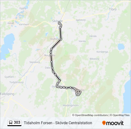 303 Route: Schedules, Stops & Maps - Skövde Centralstation (Updated)