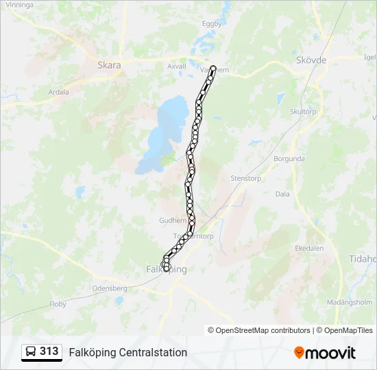 313  Line Map