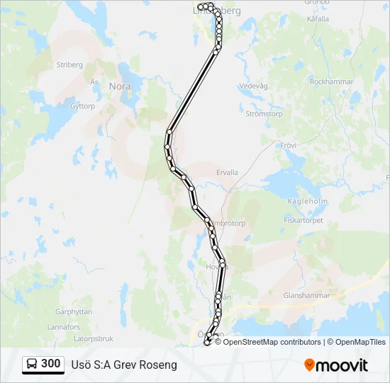 300 Bus Line Map
