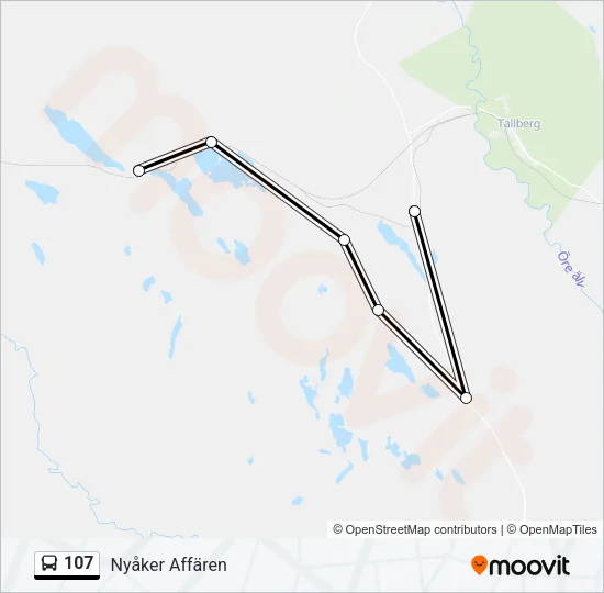 107 Bus Line Map