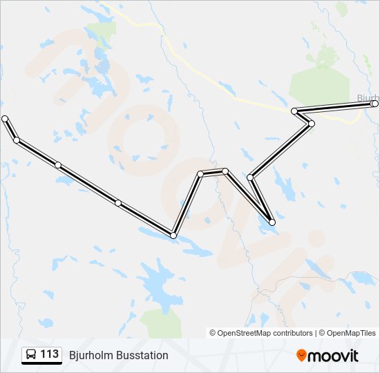 113 bus Line Map