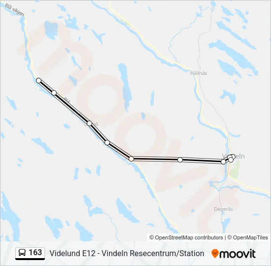 163 Bus Line Map
