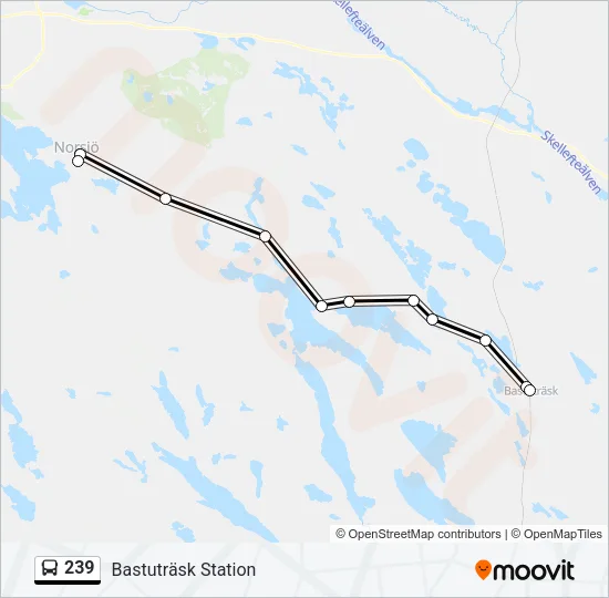 239 Bus Line Map