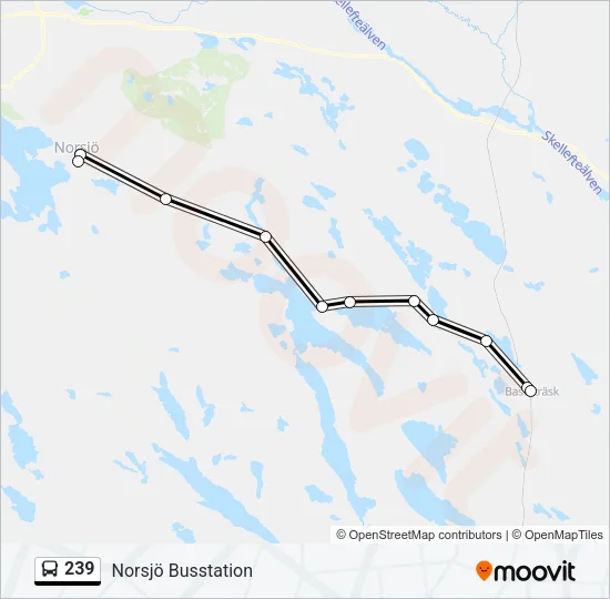239 Bus Line Map