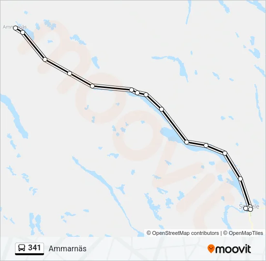 341 Bus Line Map