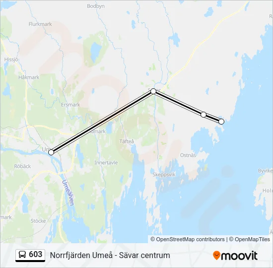 603 Bus Line Map