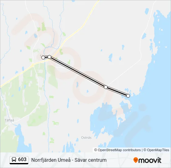 603 Bus Line Map