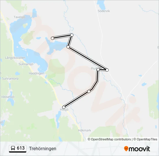 613 Bus Line Map