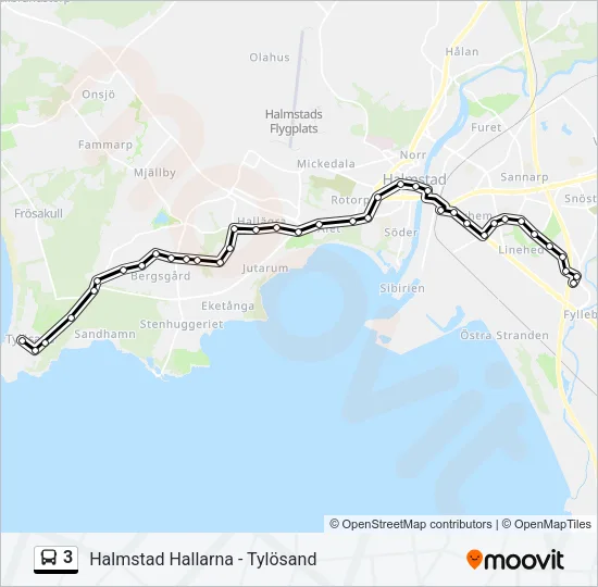 3 Bus Line Map