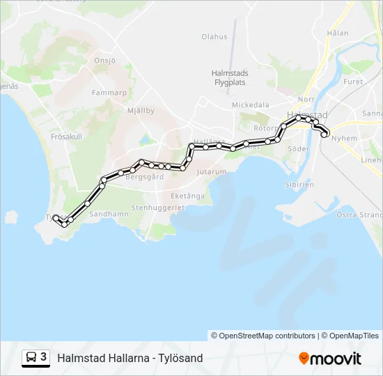 3 Bus Line Map