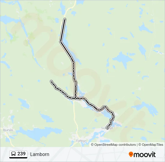 239 Bus Line Map