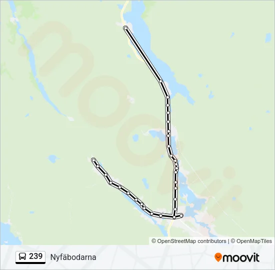 239 Bus Line Map