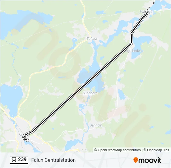 239 Bus Line Map