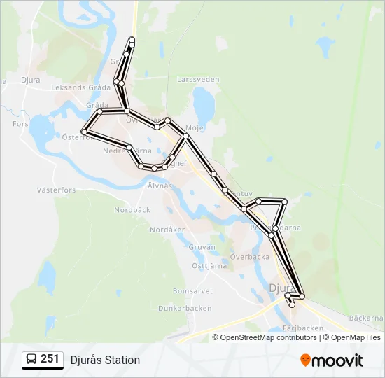 251 Bus Line Map
