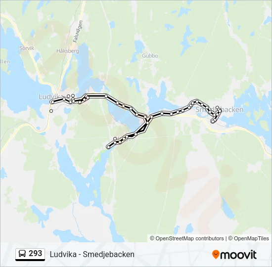 293 Bus Line Map