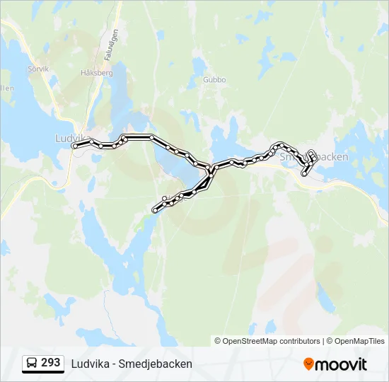 293 Bus Line Map
