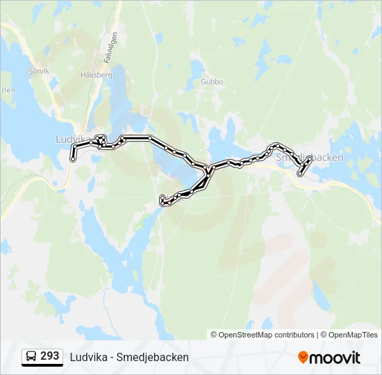 293 Bus Line Map