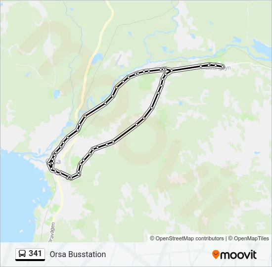 341 Bus Line Map