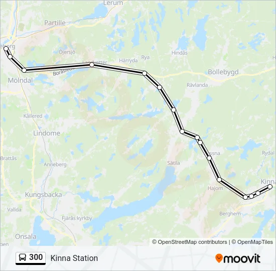 300 Bus Line Map