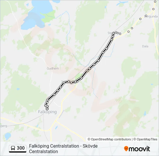 300 Bus Line Map
