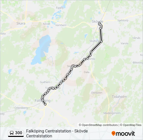 300 Bus Line Map