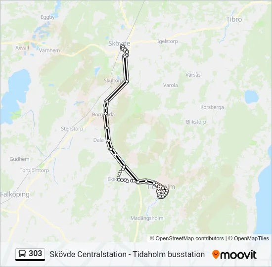 303 Bus Line Map