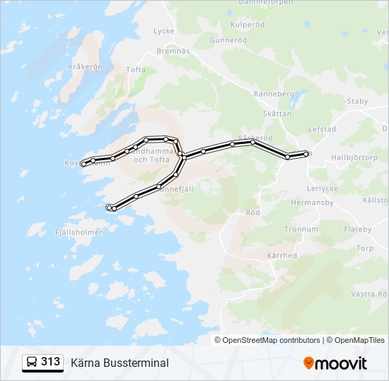 313 bus Line Map