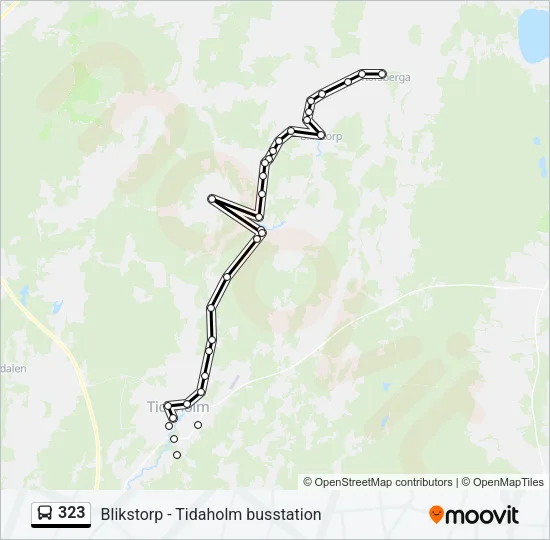 323 Bus Line Map