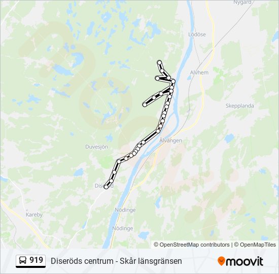 919 bus Line Map