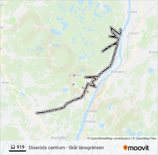 919 Bus Line Map