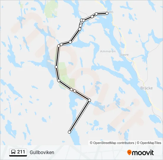 211 Bus Line Map