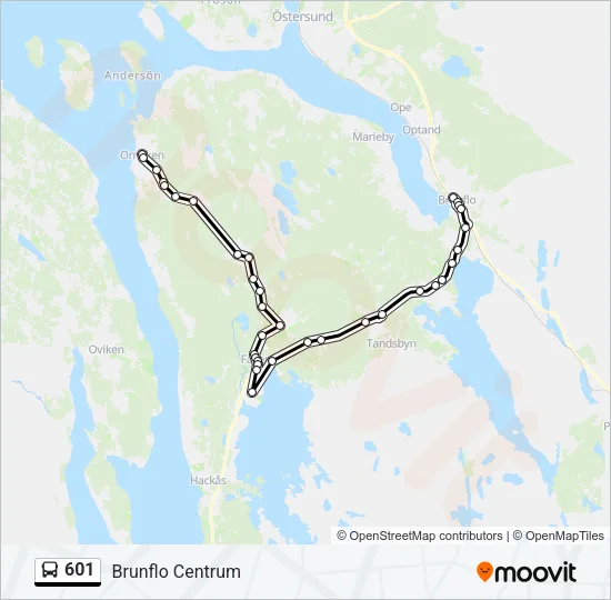 601 Bus Line Map