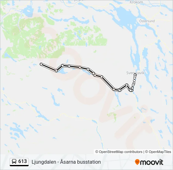 613 Bus Line Map