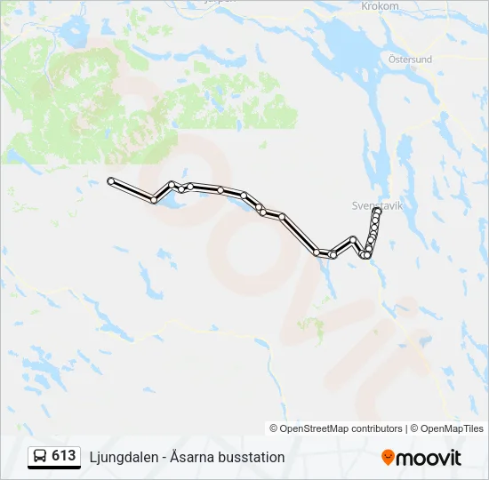 613 Bus Line Map
