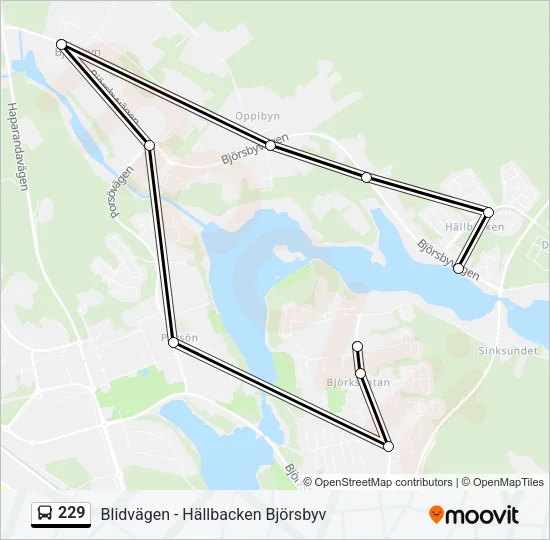 229 Bus Line Map
