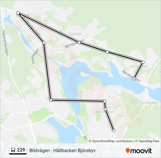 229 Bus Line Map