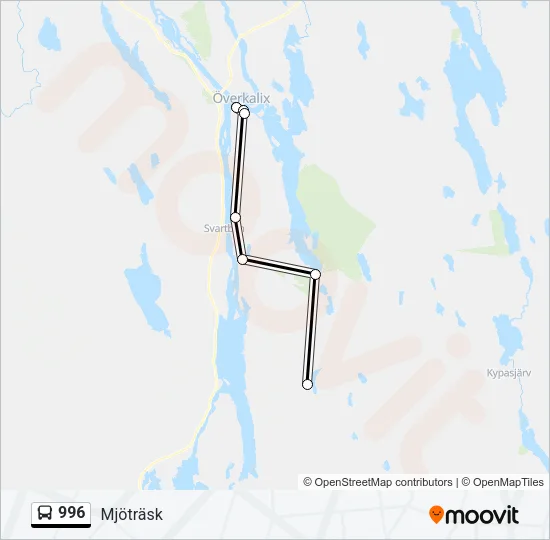 996 Bus Line Map