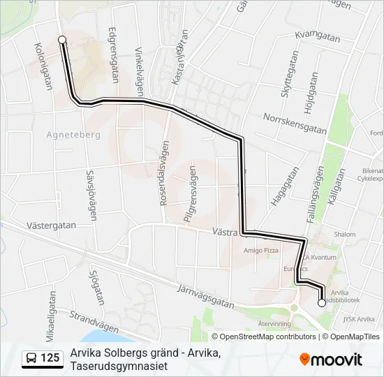 125 Bus Line Map
