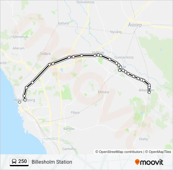 250 Bus Line Map