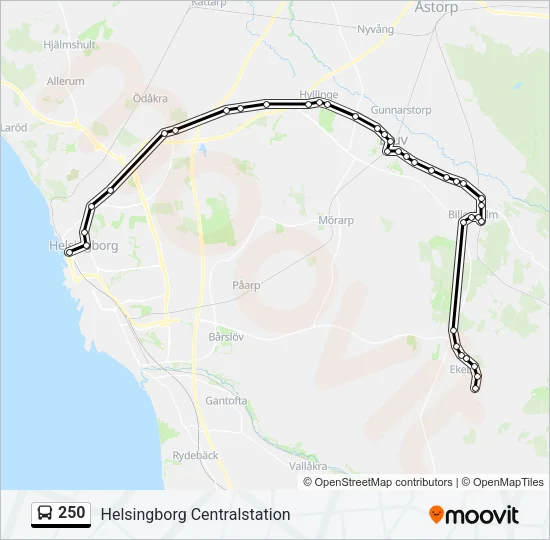 250 Bus Line Map