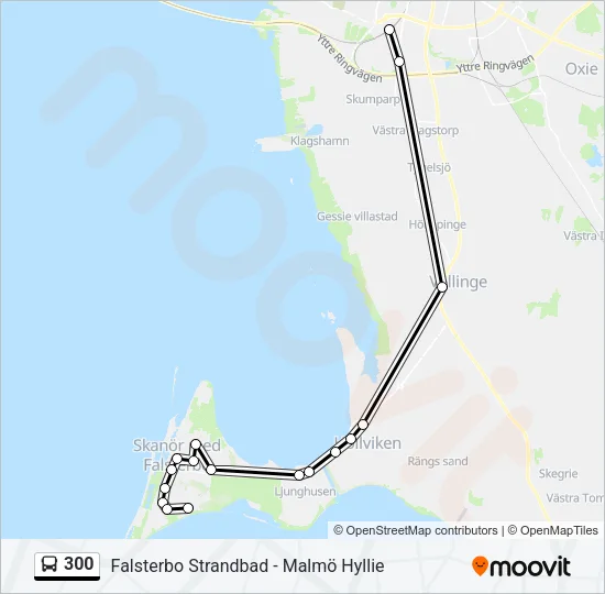 300 Bus Line Map