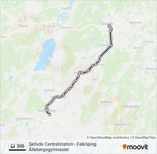 300  Line Map