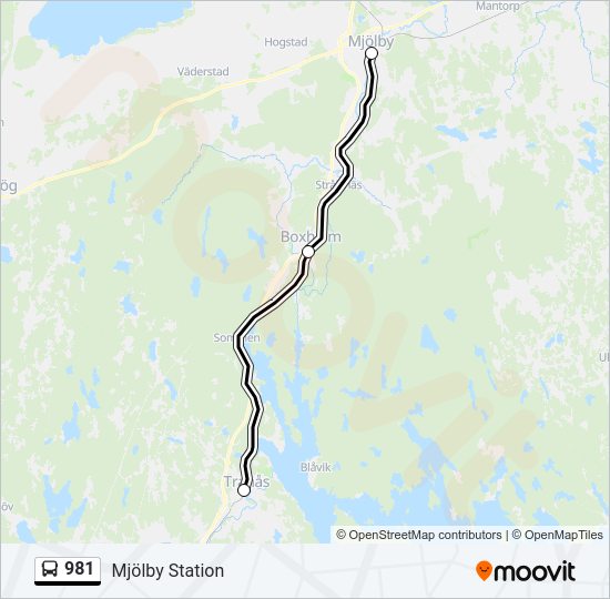 981 Bus Line Map