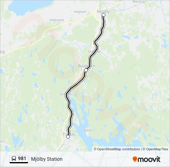 981 Bus Line Map