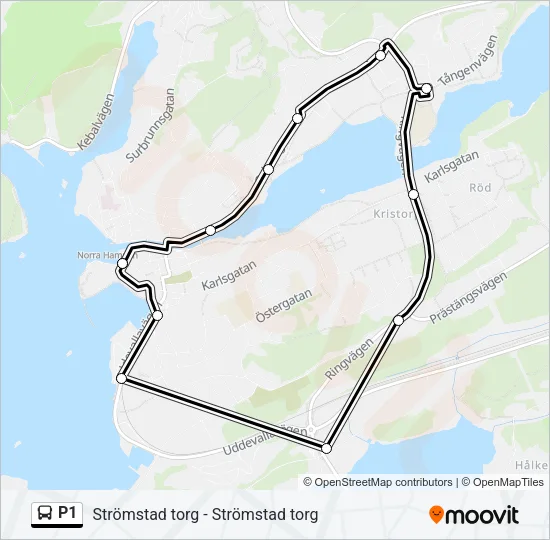 P1 Bus Line Map